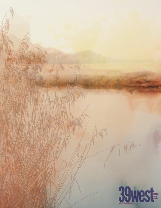 Pond and Reeds