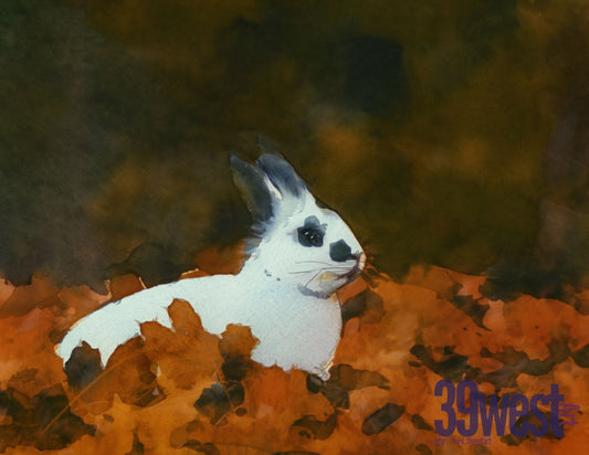 Bunny in the Leaves