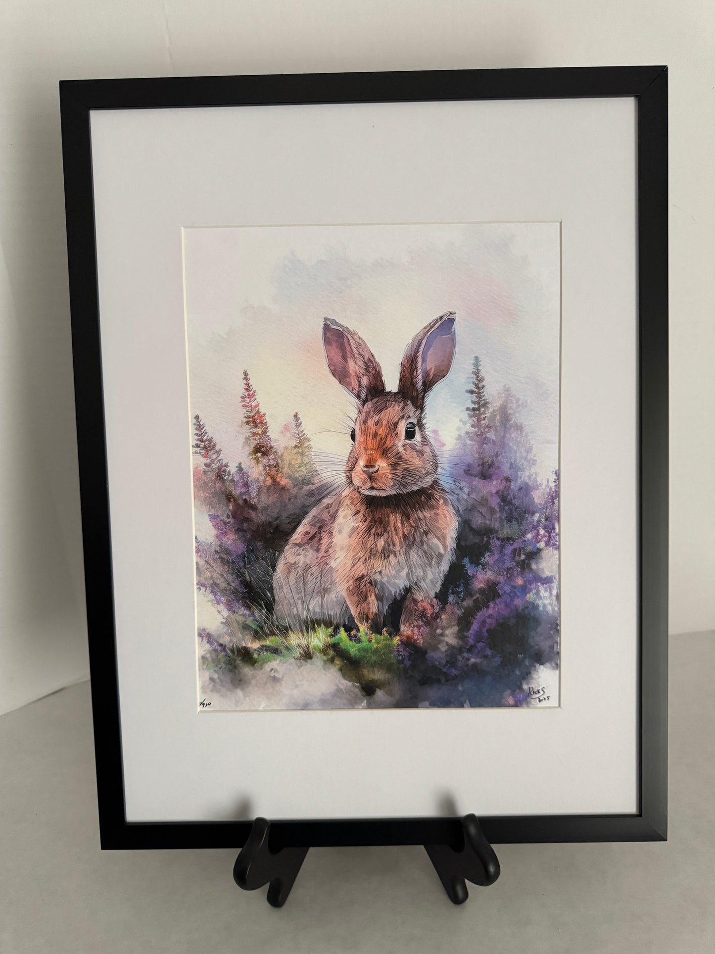 Bunny in the Heather 1