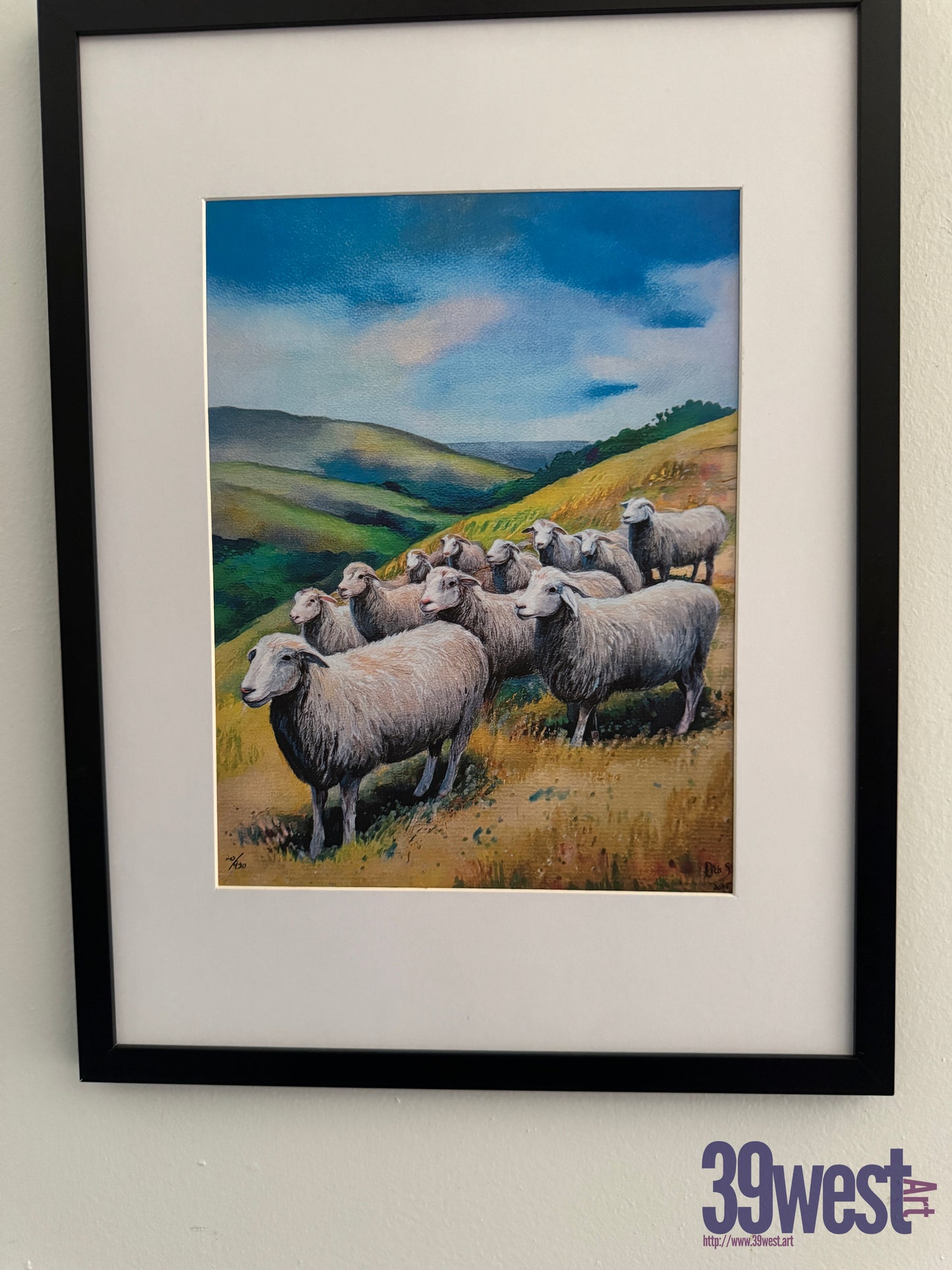 Sheep in the Hills